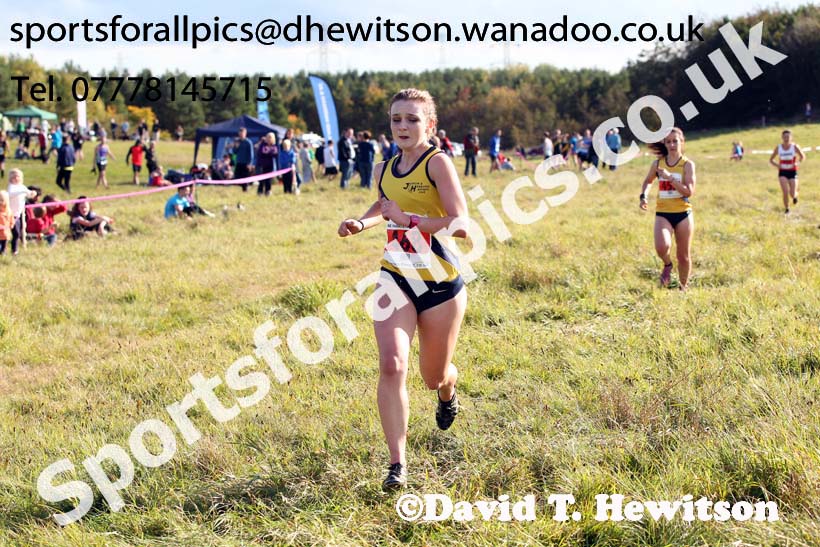 Senior womens start, North East Harrier League, Cramlington. Photo: David T. Hewitson/Sports for All Pics